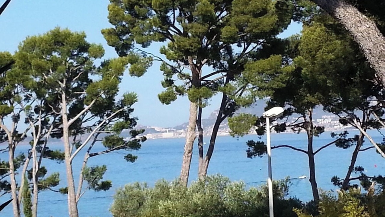 Photo of Others in La Madrague