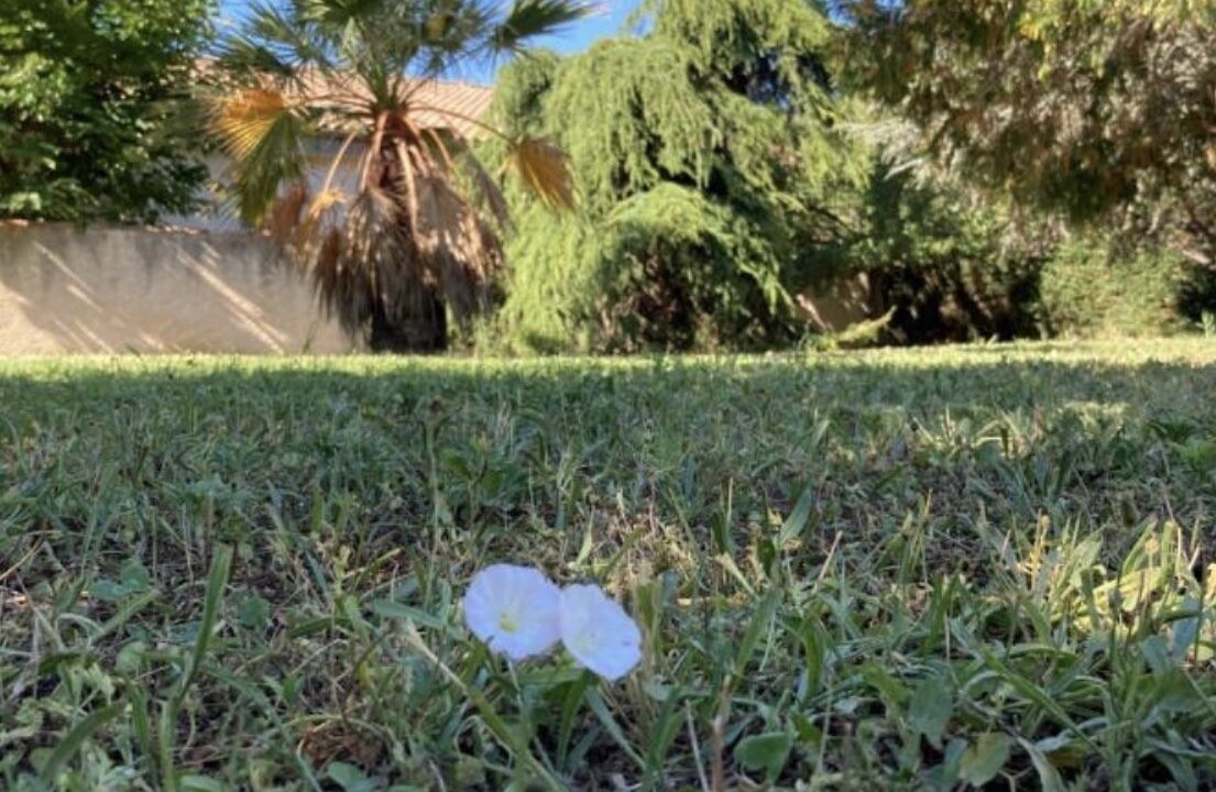 Photo of Outdoor in Istres