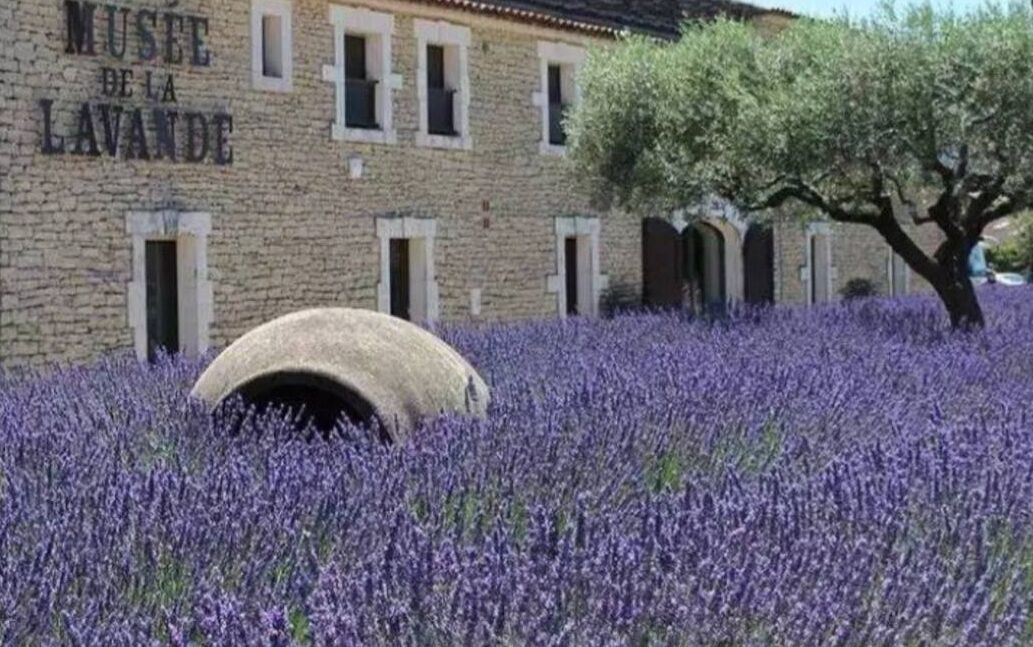 Photo of Outdoor in Althen-des-Paluds