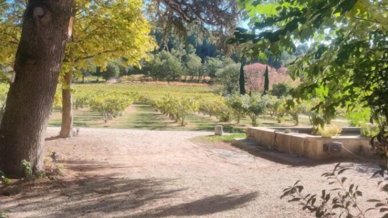 Photo of Outdoor in Lourmarin