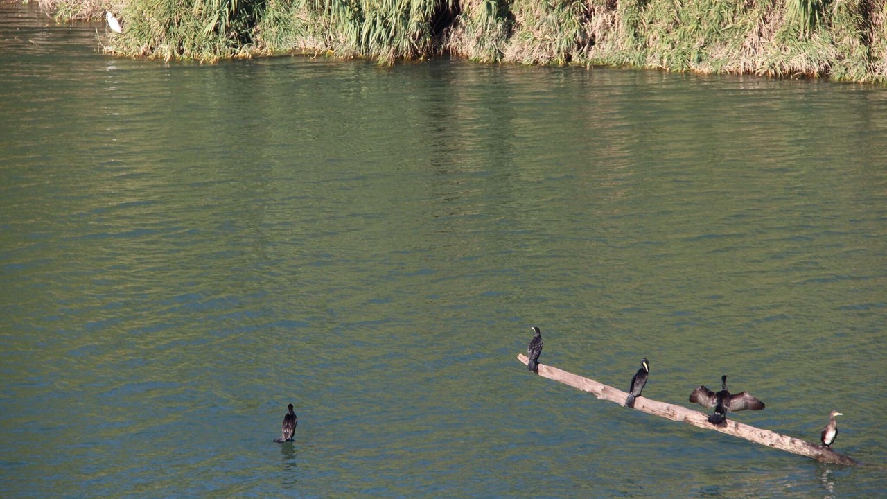 Photo of Others in Remoulins