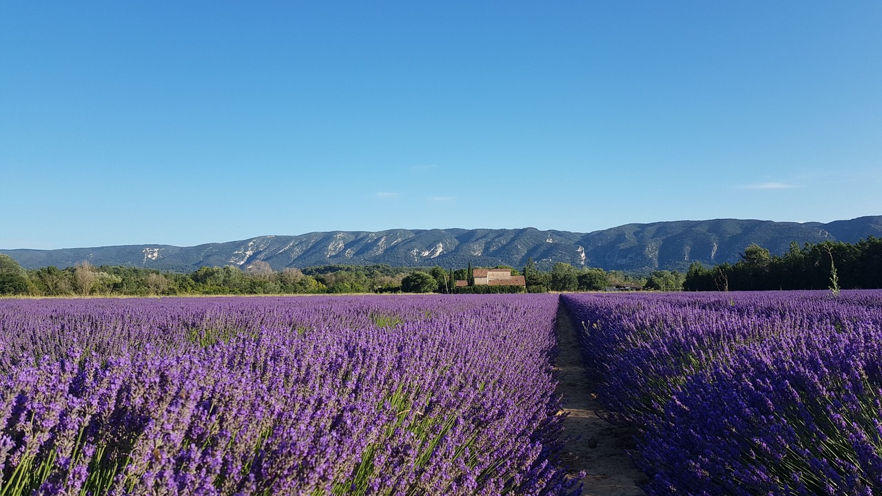 Photo of Outdoor in Viens