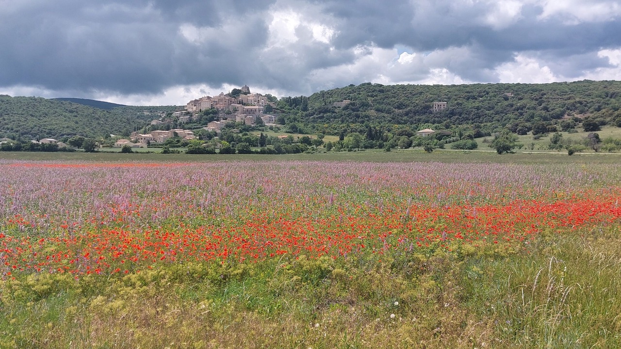 Photo of Outdoor in Viens