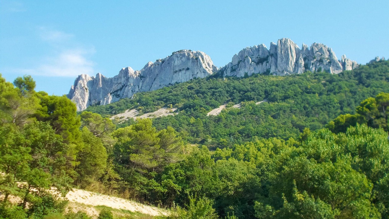 Photo of Others in Visan