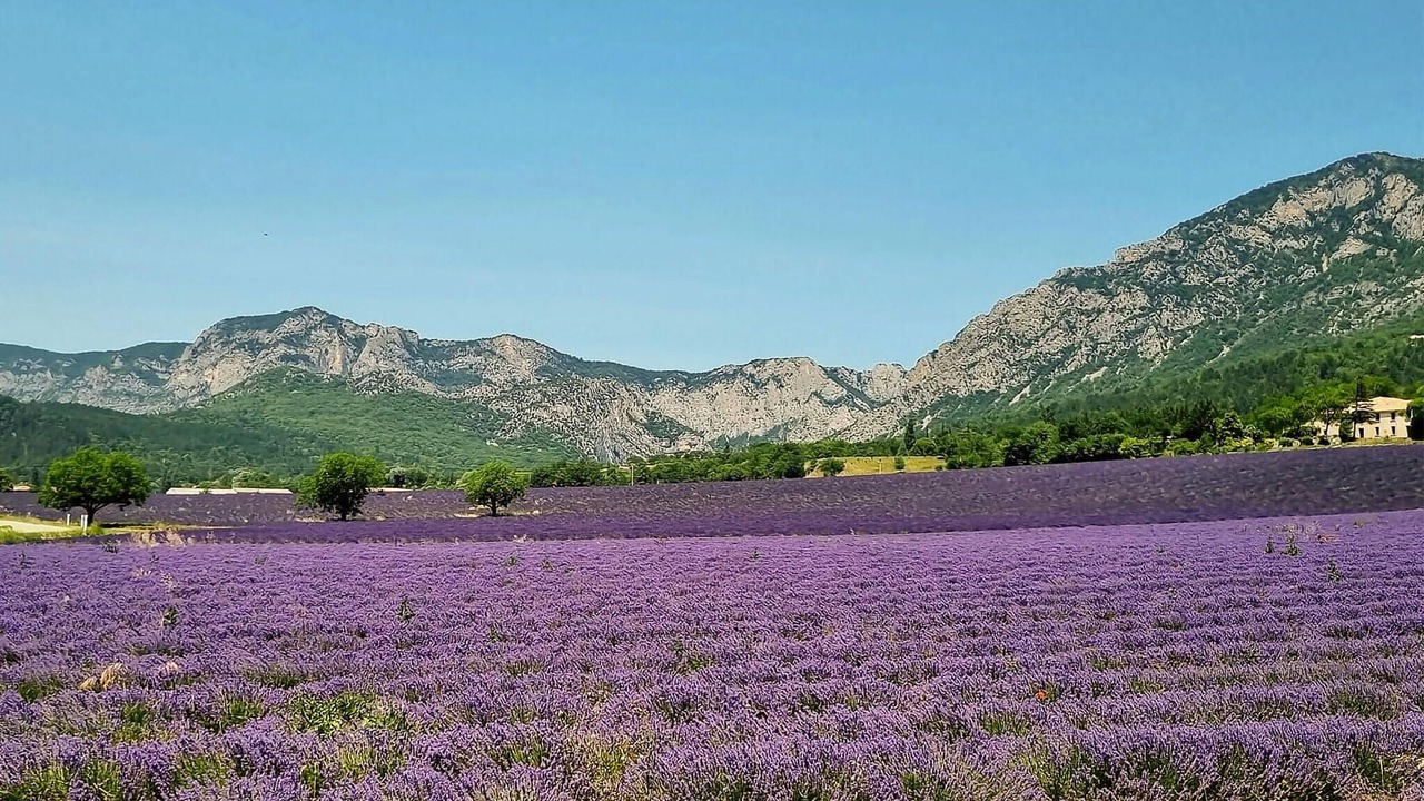 Photo of Others in Visan