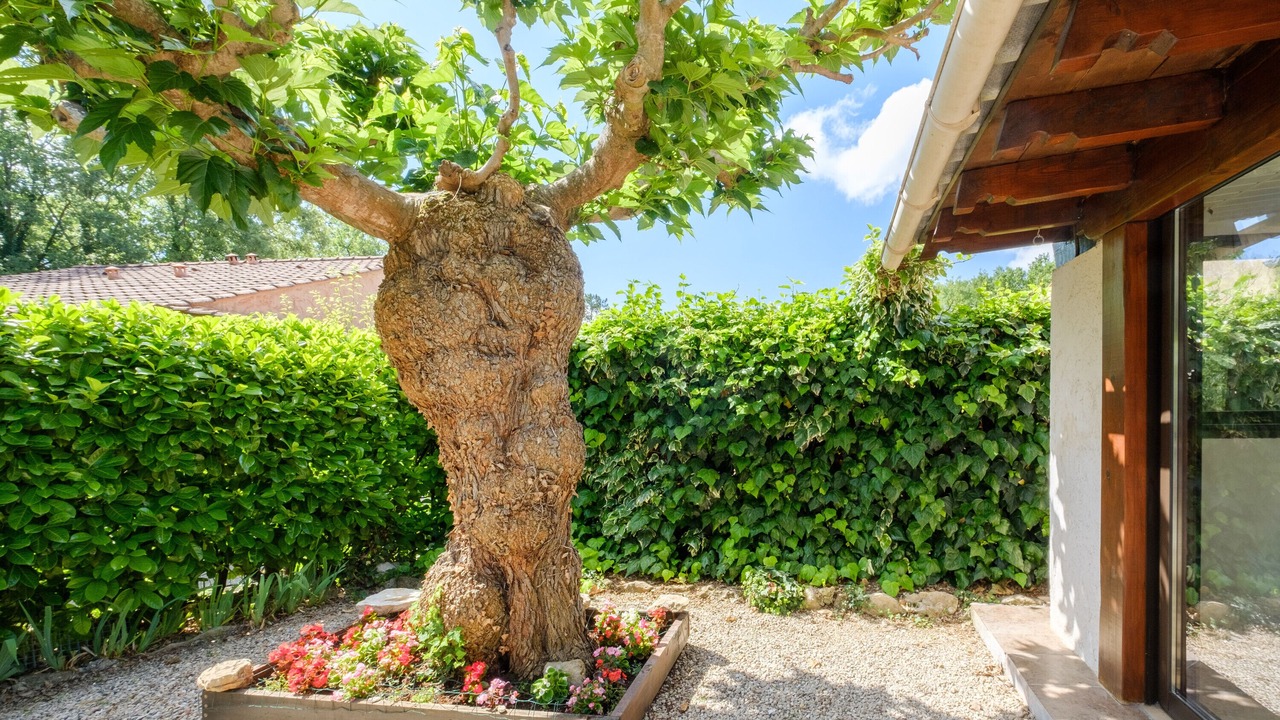 Photo of Outdoor in Saint-Cezaire-sur-Siagne