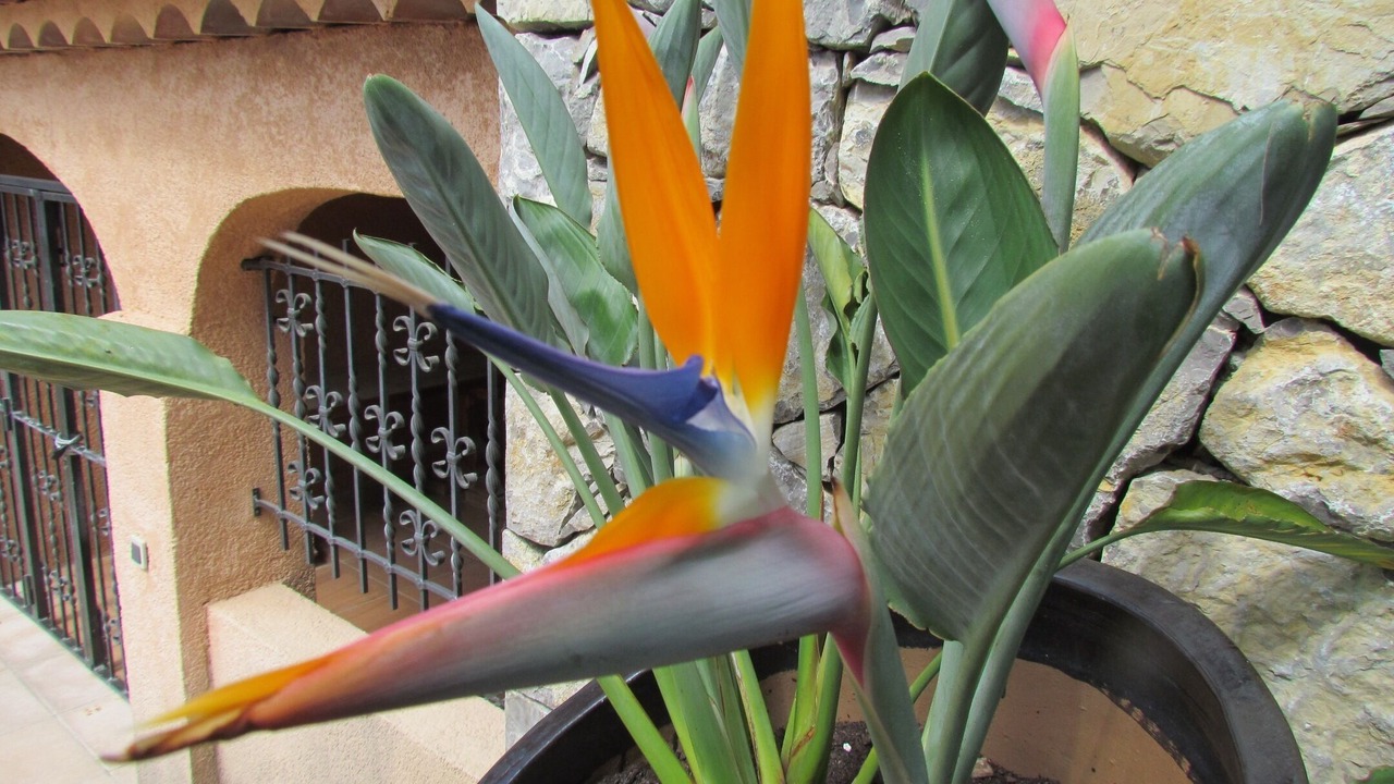 Photo of Outdoor in Callas