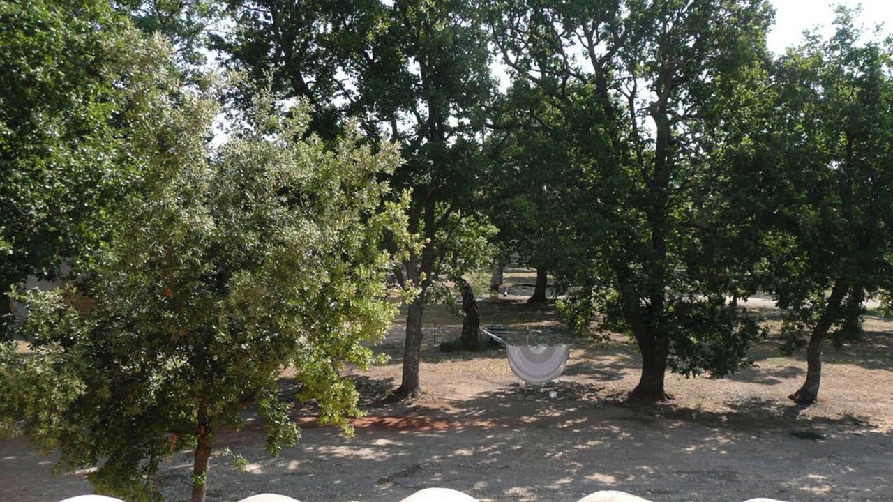 Photo of Others in Sainte-Croix-du-Verdon