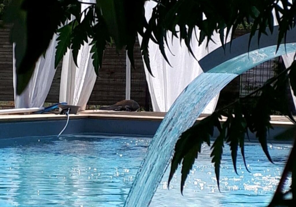Photo of Outdoor in Saint-Saturnin-les-Avignon