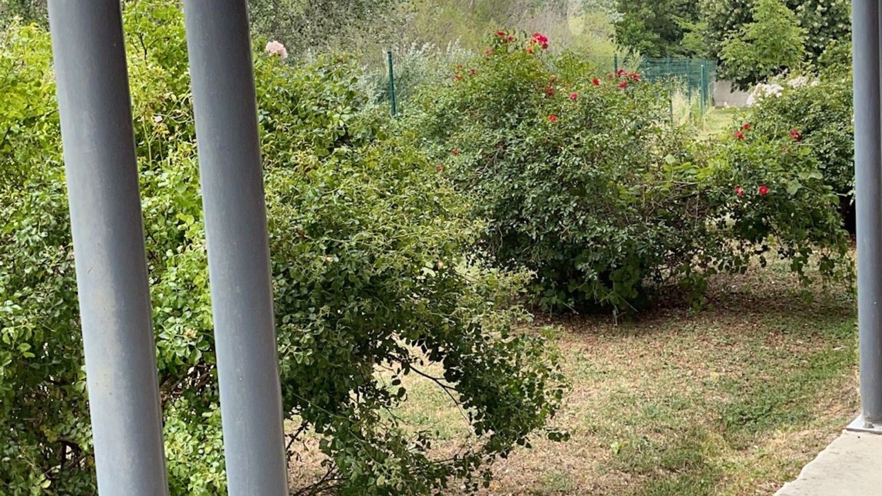 Photo of Outdoor in Saint-Saturnin-les-Avignon