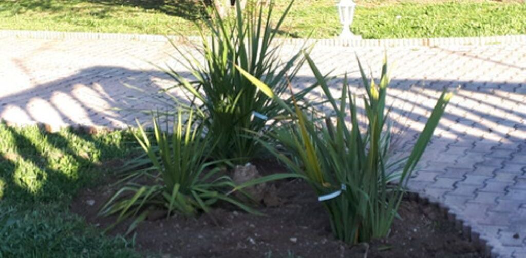 Photo of Outdoor in Draguignan