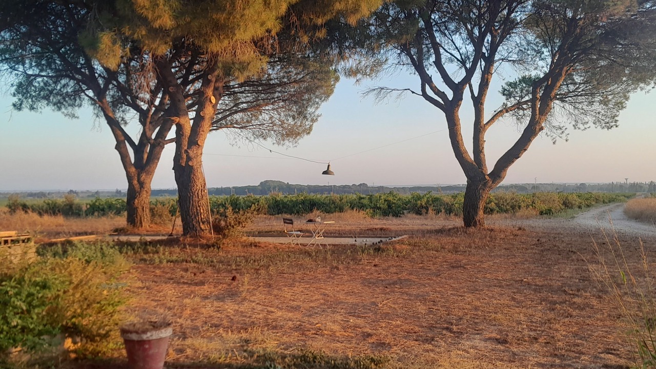 Photo of Outdoor in Manduel