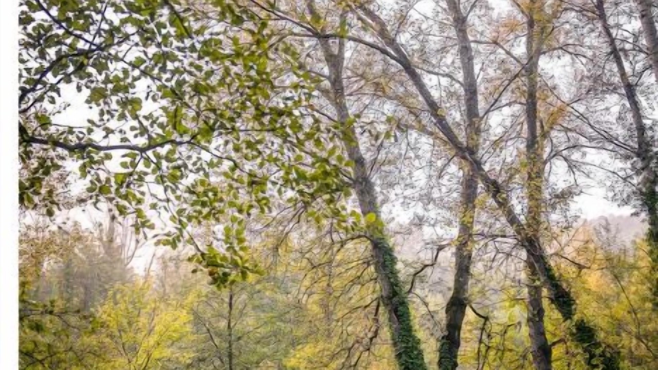 Photo of Outdoor in Mollans-sur-Ouveze