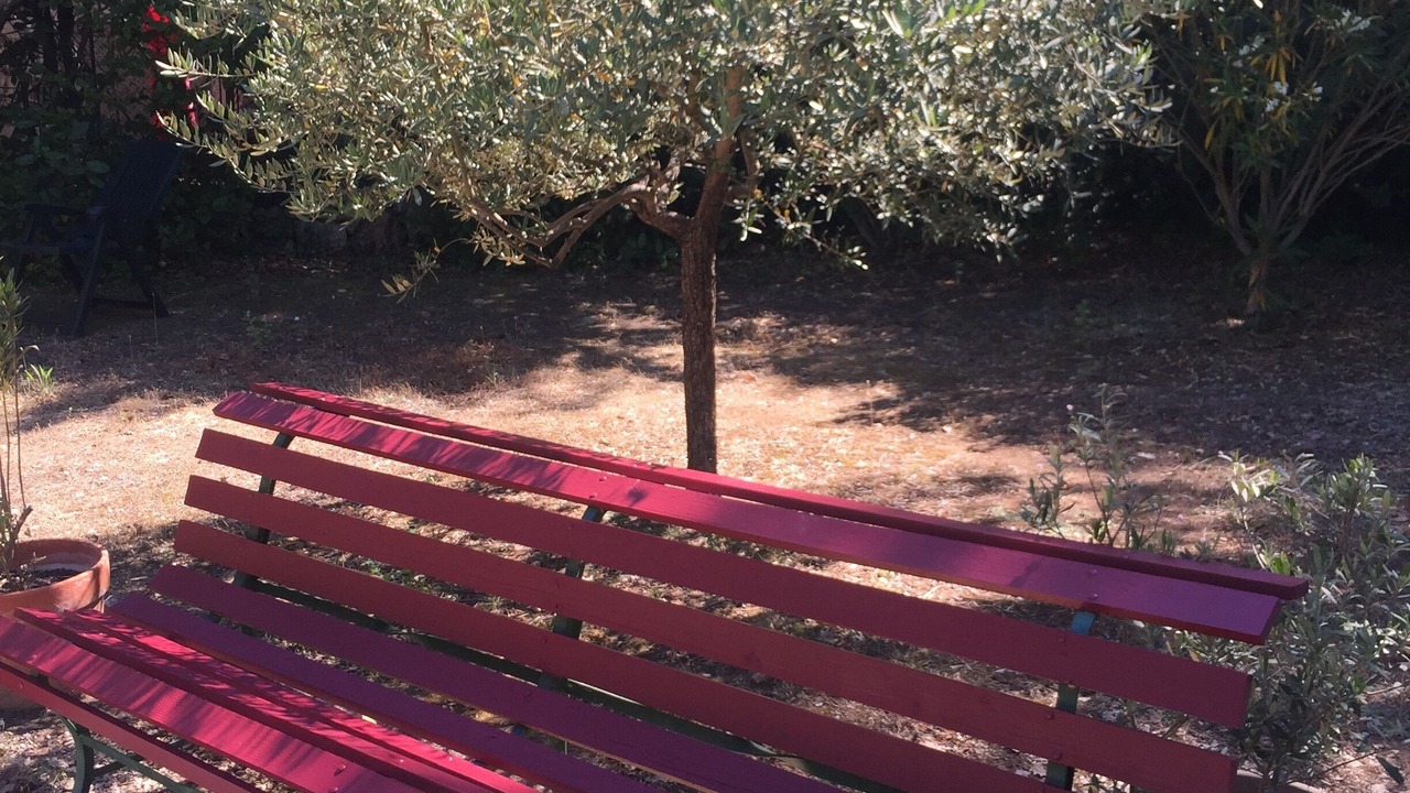 Photo of Outdoor in Saint-Cannat