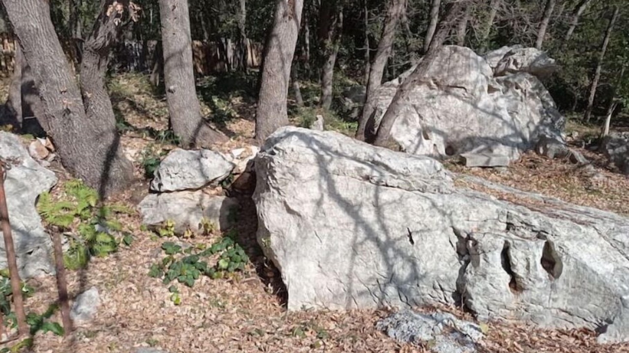 Photo of Outdoor in Nans-les-Pins