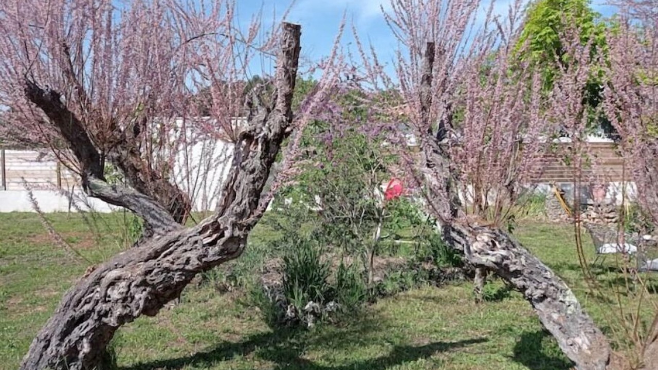 Photo of Outdoor in Nans-les-Pins
