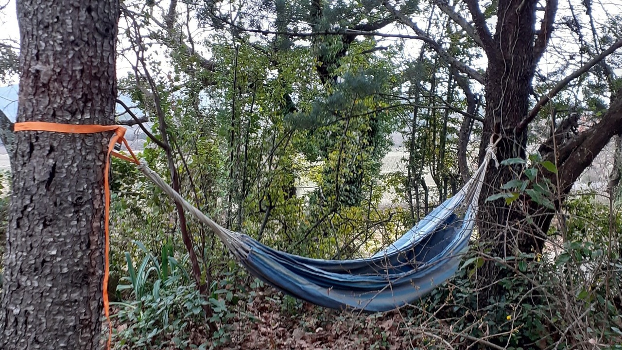 Photo of Outdoor in La Roquebrussanne