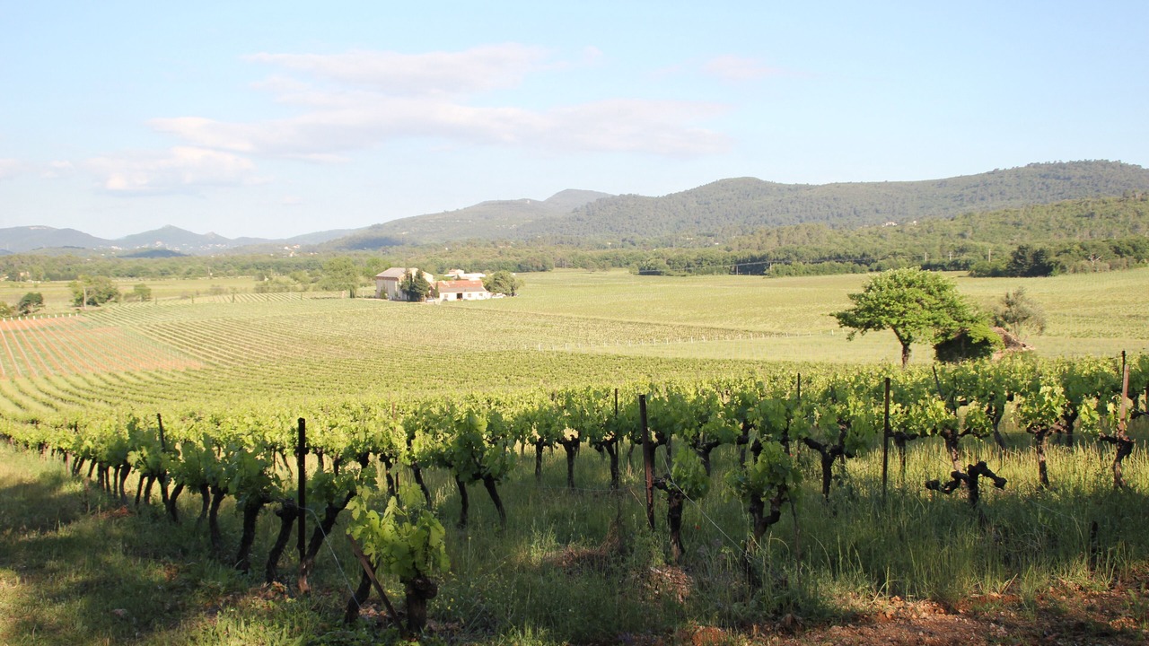 Photo of Outdoor in La Roquebrussanne