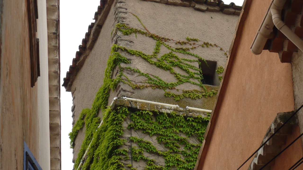 Photo of Outdoor in La Roquebrussanne