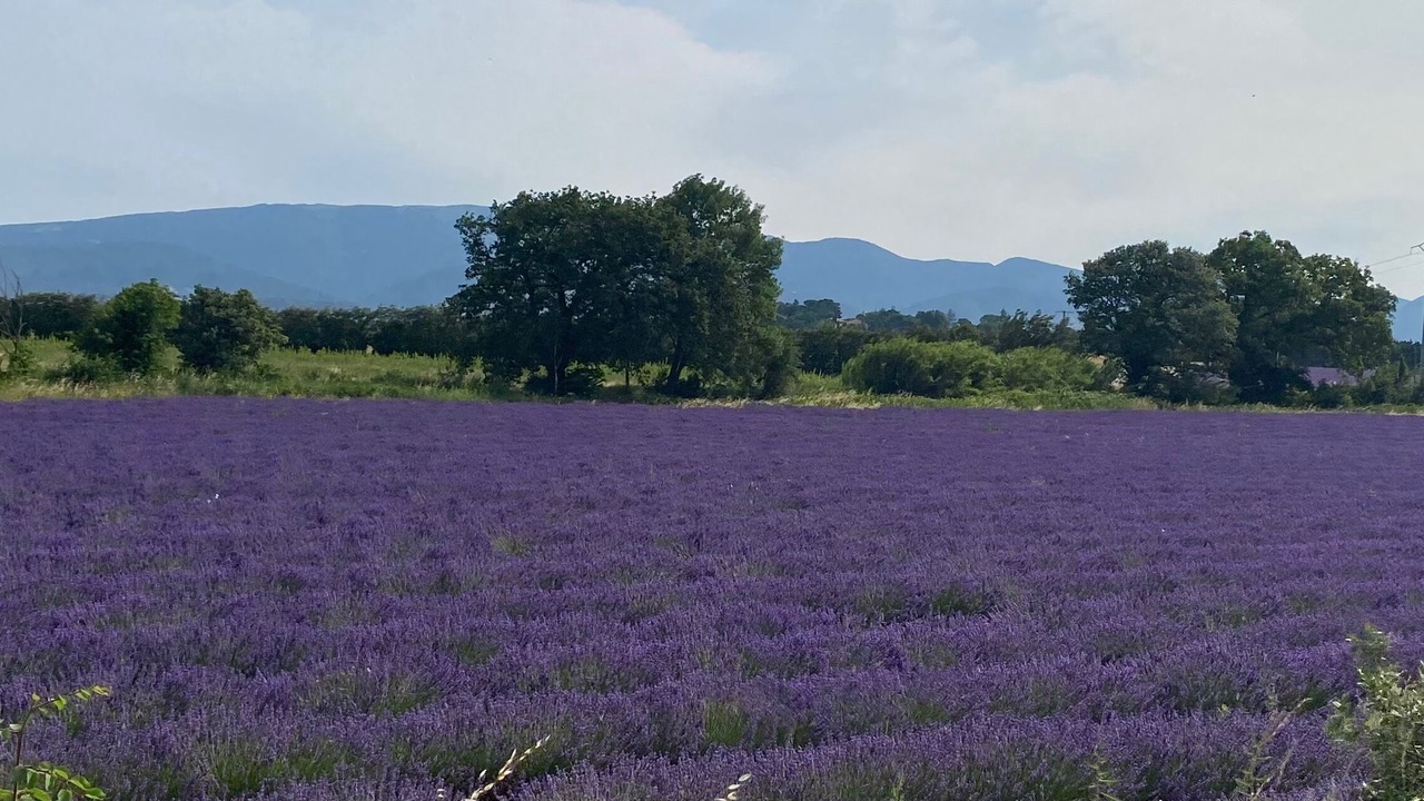 Photo of Outdoor in Valreas