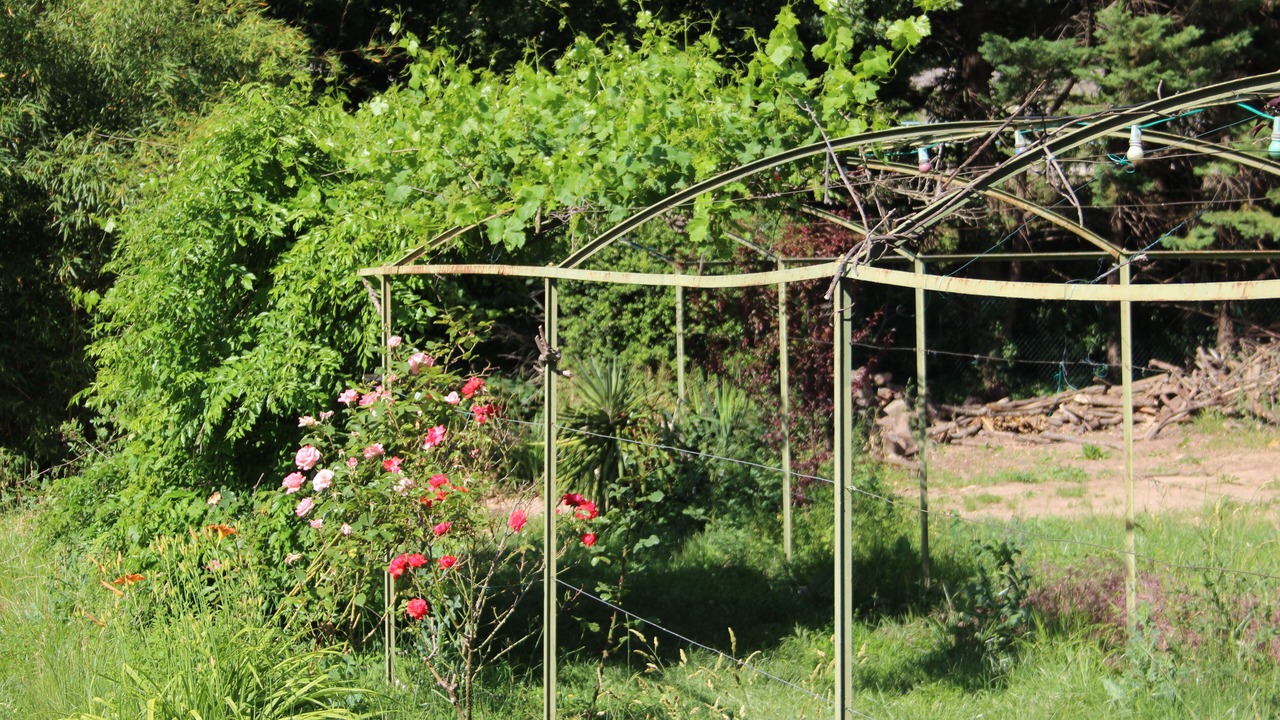 Photo of Outdoor in Brignoles