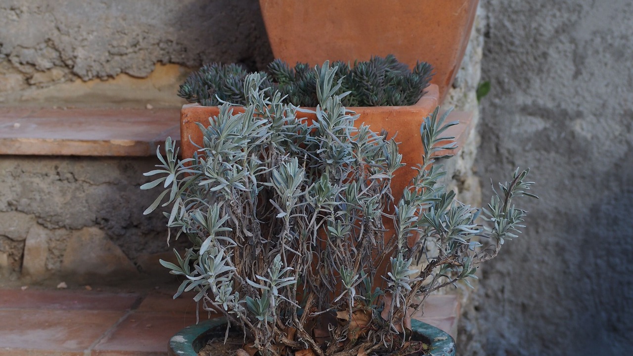 Photo of Outdoor in Brignoles