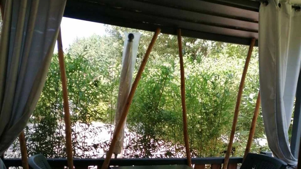 Photo of Outdoor in Paluds de Noves
