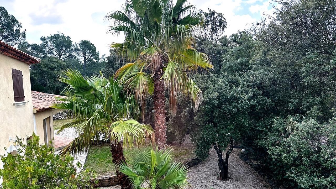 Photo of Outdoor in Cuers