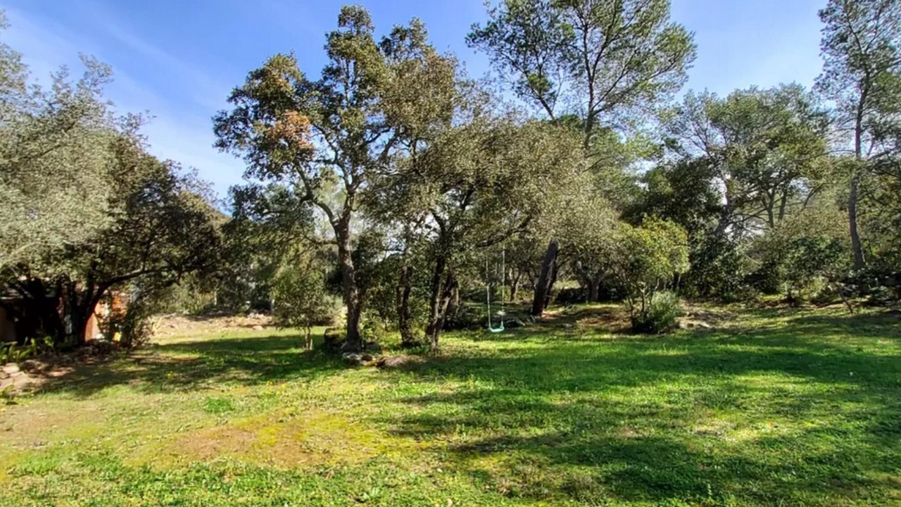 Photo of Outdoor in Cuers