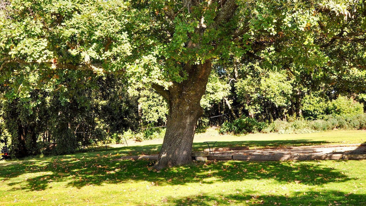 Photo of Others in Bedoin