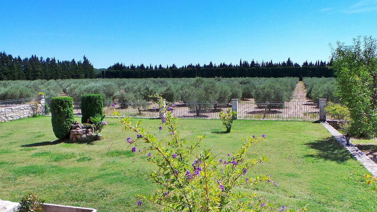 Photo of Others in Maussane-les-Alpilles