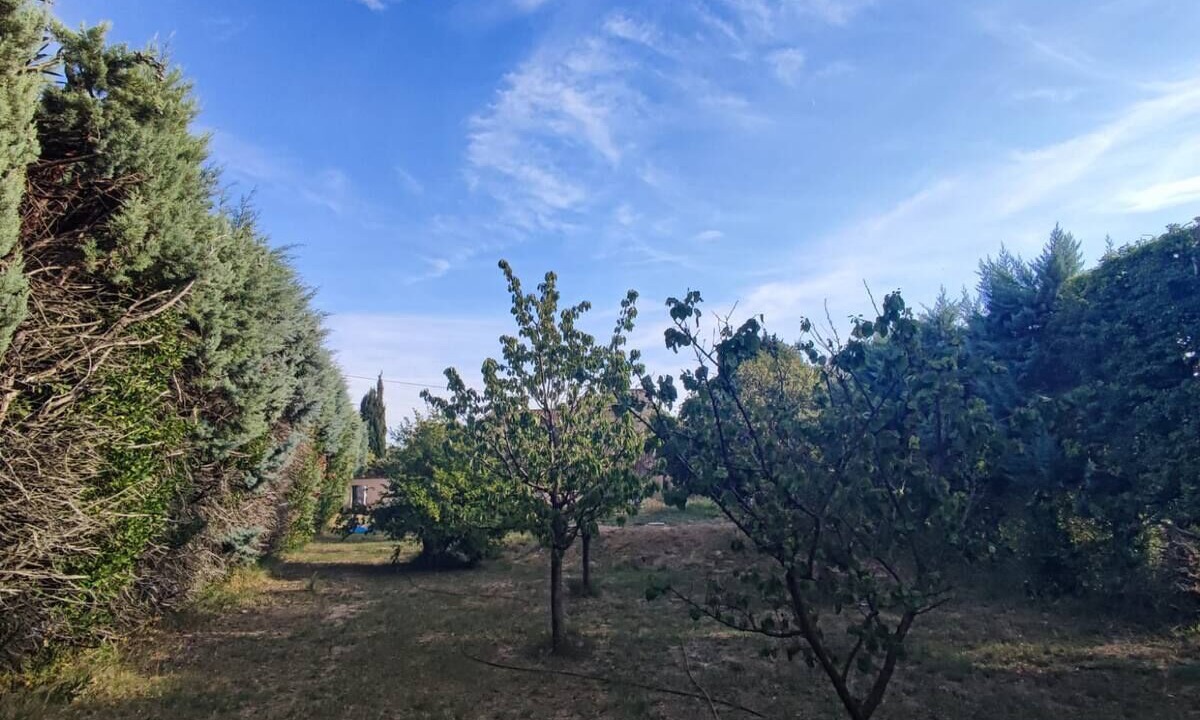 Photo of Outdoor in Orange
