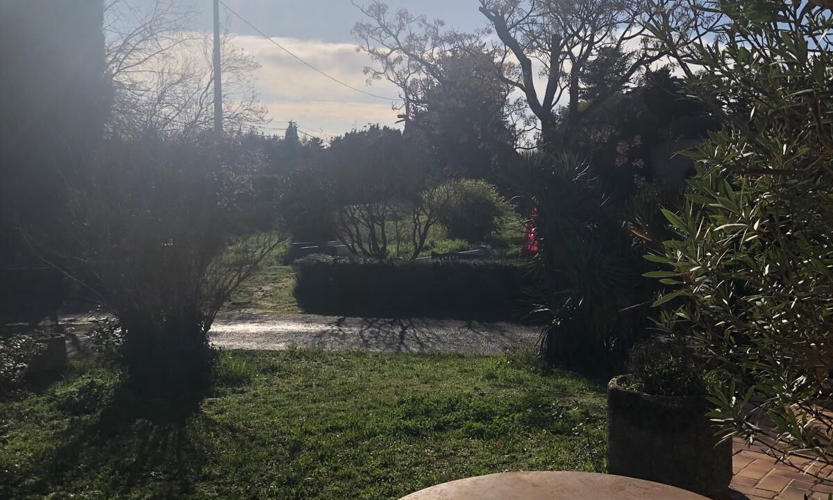 Photo of Outdoor in Orange