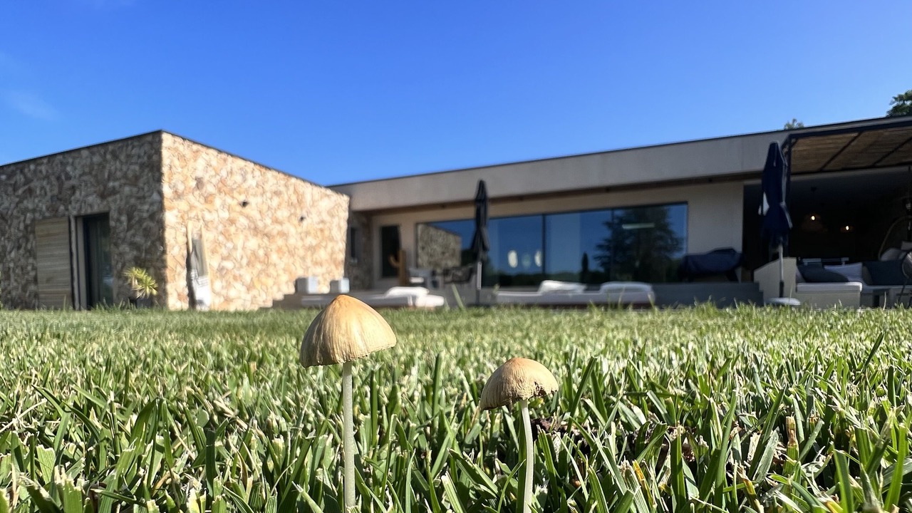 Photo of Outdoor in Grand Sud