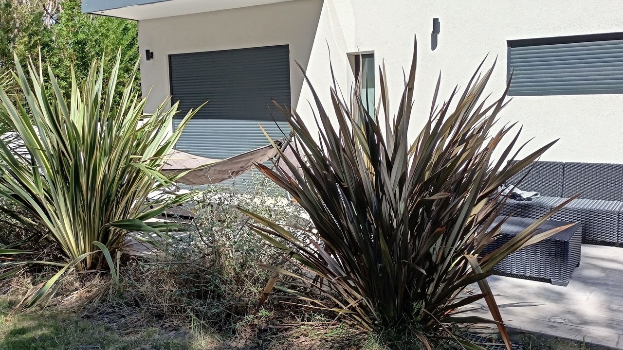Photo of Patio Balcony in Vedene