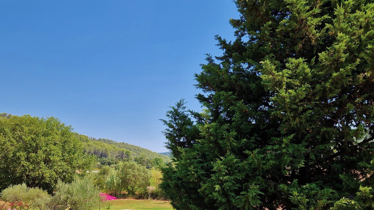 Photo of Outdoor in Cuers