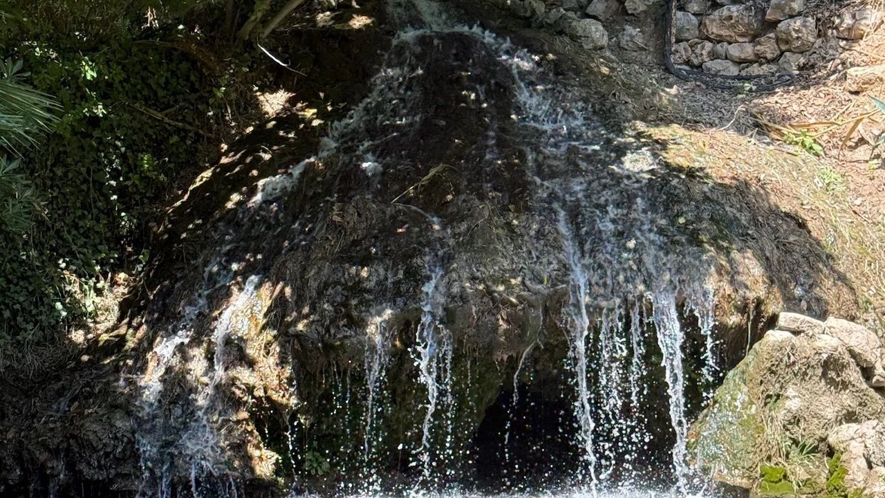 Photo of Others in Trans-en-Provence
