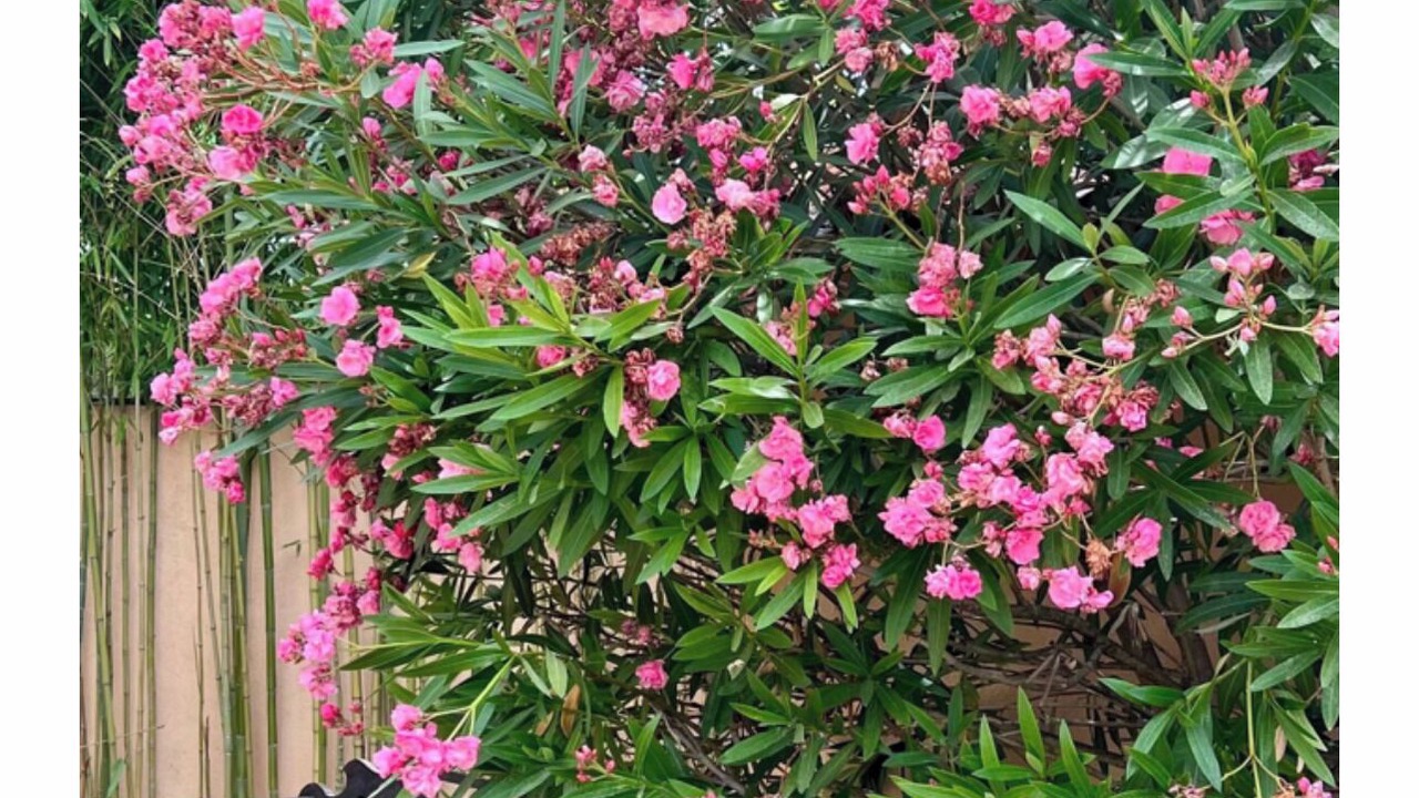 Photo of Outdoor in Saint-Menet