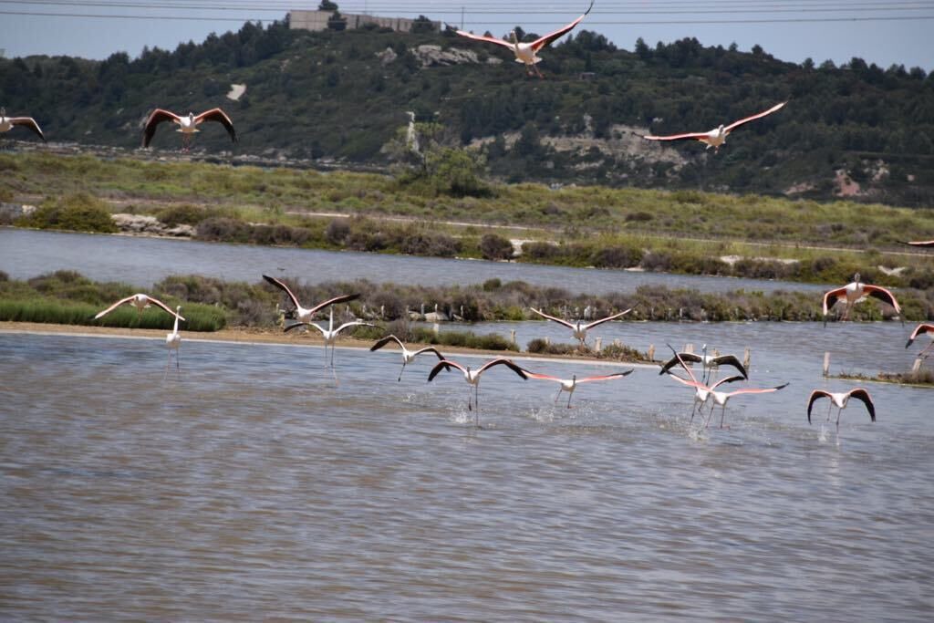 Photo of Others in Fos-sur-Mer