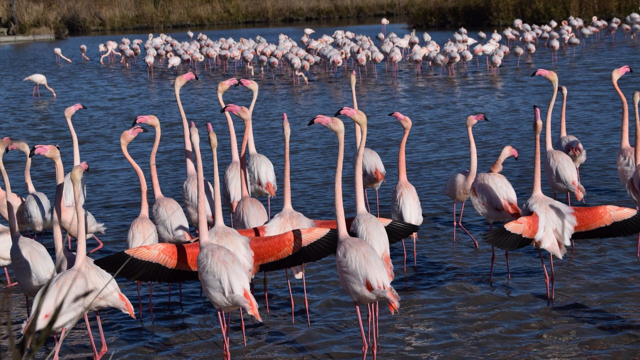 Photo of Others in Fos-sur-Mer