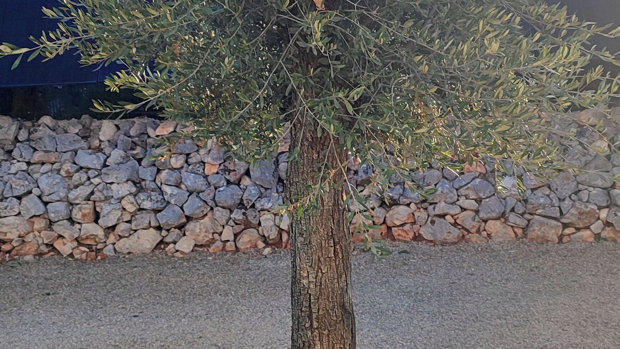 Photo of Outdoor in Regusse