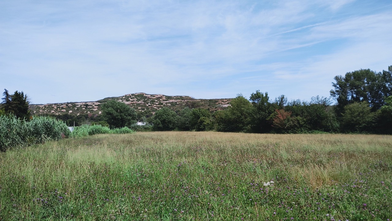Photo of Others in Istres