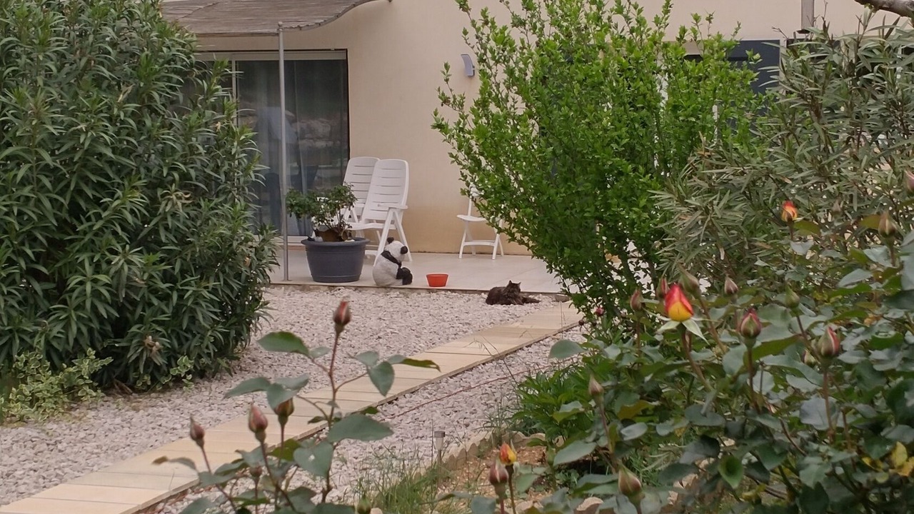 Photo of Outdoor in Meyrargues