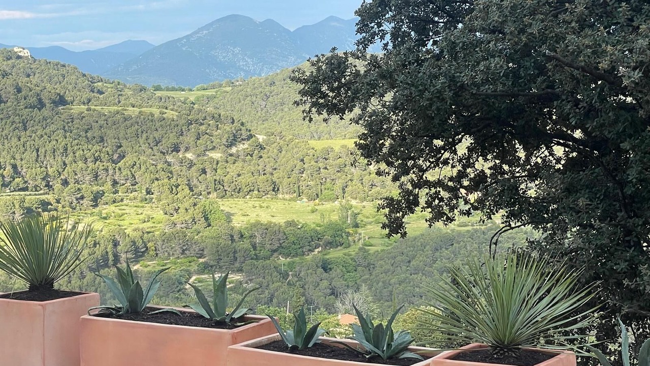 Photo of Outdoor in Suzette