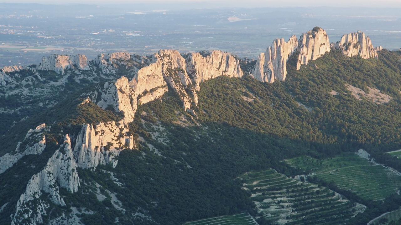 Photo of Outdoor in Suzette