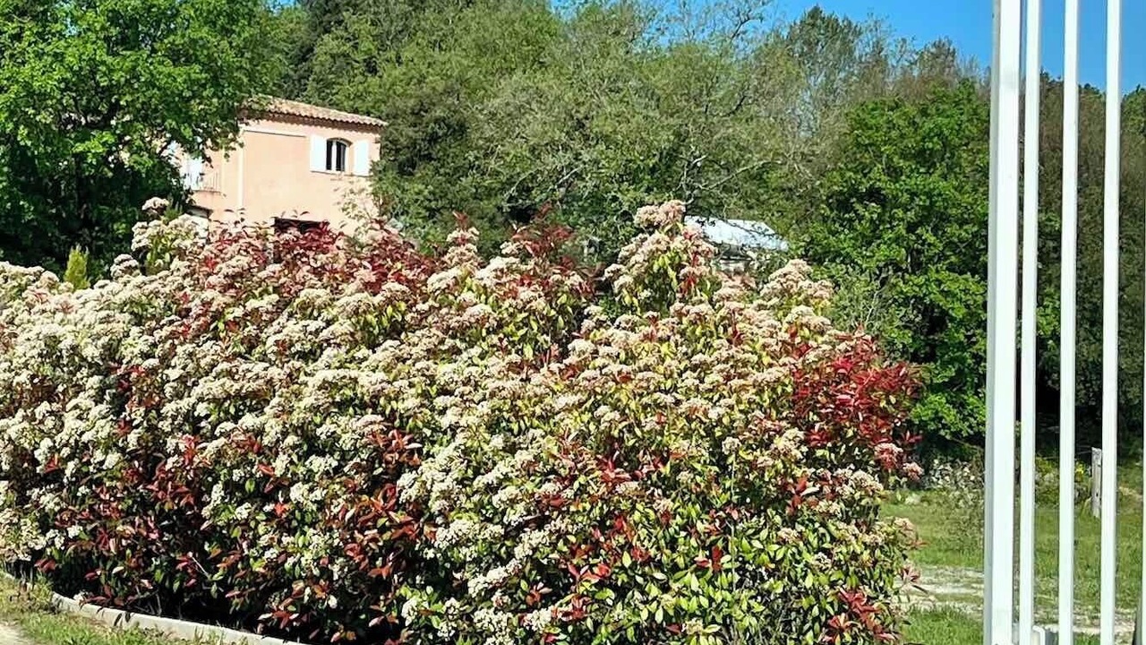 Photo of Outdoor in Tourves