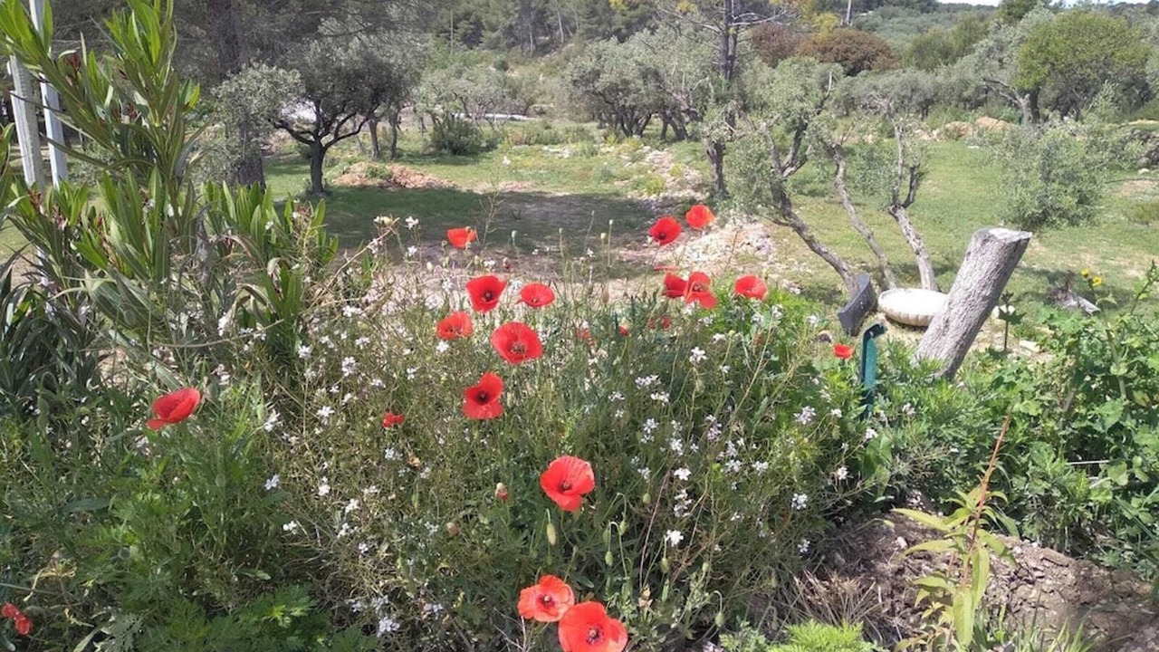 Photo of Outdoor in Mouries