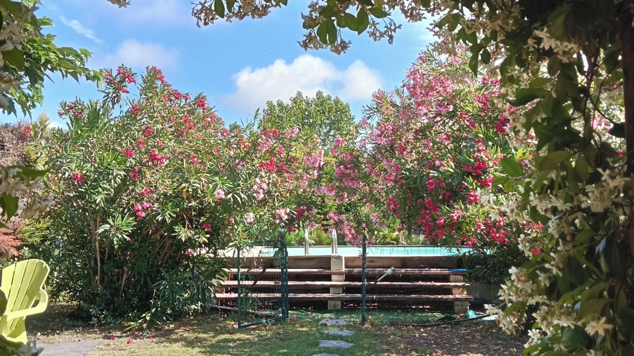 Photo of Outdoor in Maillane