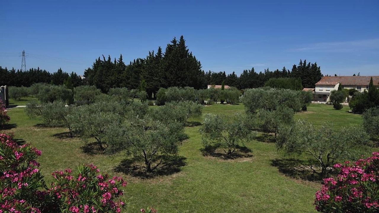 Photo of Outdoor in Monteux