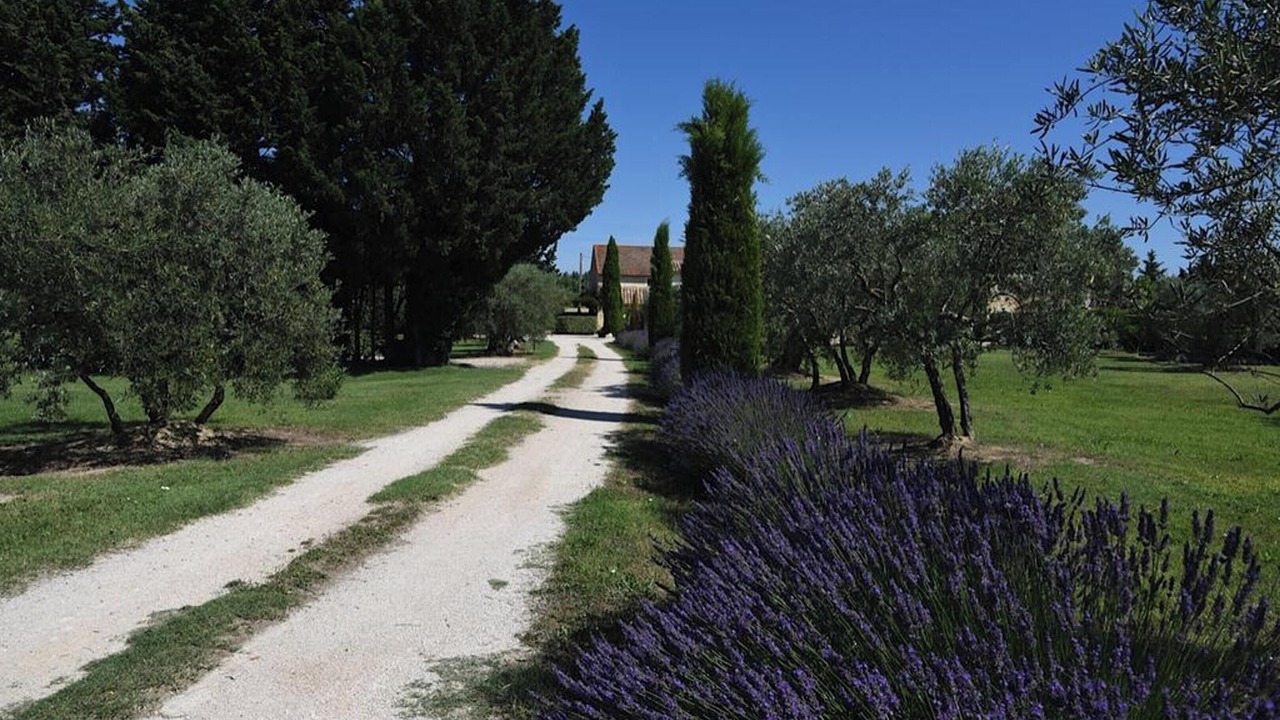 Photo of Others in Monteux